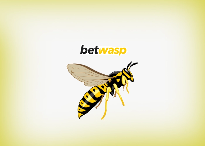 BetWasp Review: Best value bet finder in the USA & Canada?